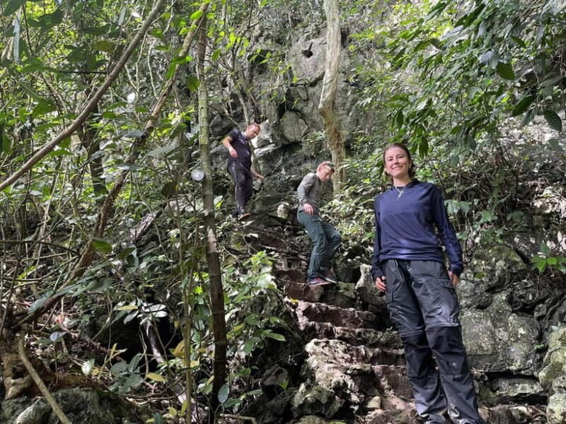 Ninh Binh: Cuc Phuong Jungle Hike & Wildlife Day Trip - Trekking in the Jungle