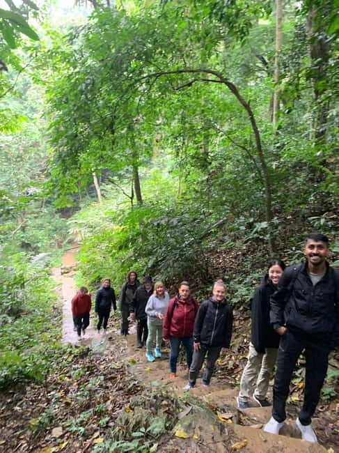 Ninh Binh: Cuc Phuong Jungle Hike & Wildlife Day Trip - Optional Activities and Return Journey