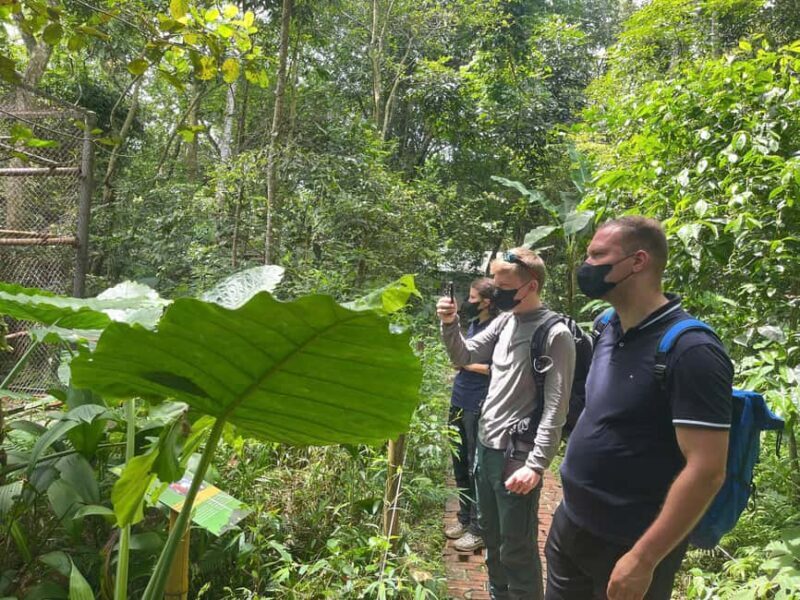 Ninh Binh: Cuc Phuong Jungle Trek, Wildlife & Ancient Caves - Who Should Consider This Tour?