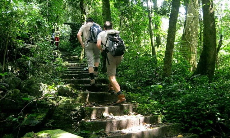 Ninh Binh : Cuc Phuong National Park One Day Group Tour - A Deep Dive into the Experience