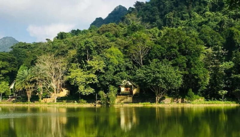 Ninh Binh : Cuc Phuong National Park One Day Group Tour - The Sum Up