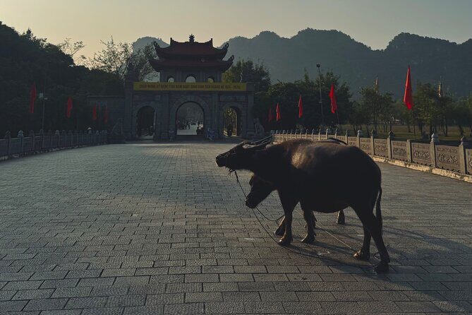 Ninh Binh Day Escape from Hanoi: Local Life, Connection & Tales - A Detailed Look at the Itinerary and Experience