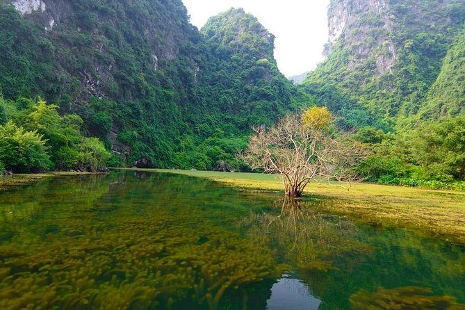 Ninh Binh Day Tour: Bai Dinh Trang An boat trip - Who Will Love This Tour?