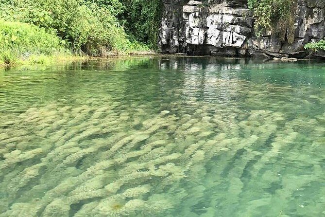 Ninh Binh Day Tour: Bai Dinh Trang An boat trip - The Sum Up
