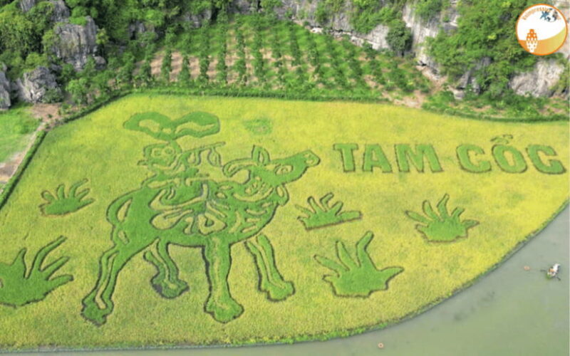 NINH BINH DAY TRIP: HOA LU,MUA CAVES &THUNG NHAM BIRD VALLEY - Practical Details & Tips