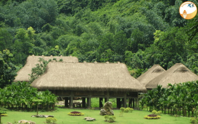 NINH BINH DAY TRIP: HOA LU,MUA CAVES &THUNG NHAM BIRD VALLEY - FAQs