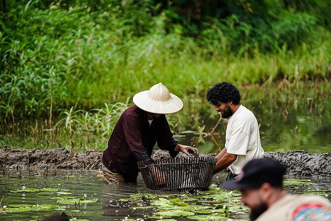 Ninh Binh eco group tour - Buffalo riding, rice planting, fishing - What to Expect from the Experience