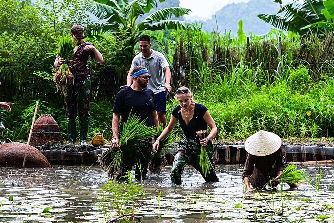 Ninh Binh eco group tour - Buffalo riding, rice planting, fishing - Final Thoughts: Who is This Tour Best For?