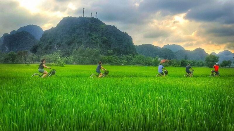 Ninh Binh Full Day Hoa Lu Tam Coc Mua Cave Tour Buffet, Boat - Who Will Love This Tour?