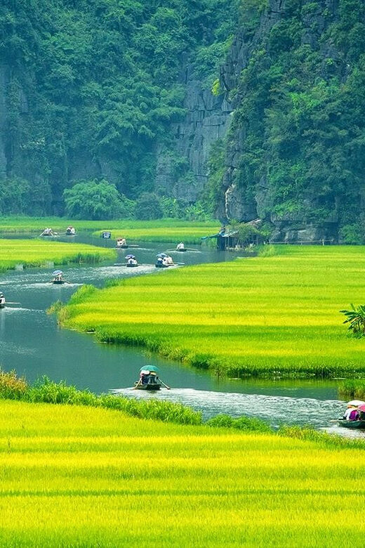 Ninh Binh full day - Mua Cave - Tam Coc boating - Hoa Lu - What Travelers Say