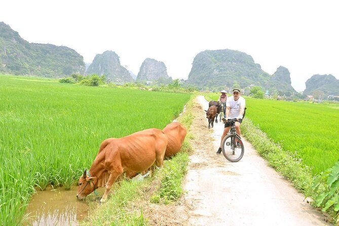Ninh Binh Full-Day Small Group of 9 Guided Tour from Hanoi - FAQs