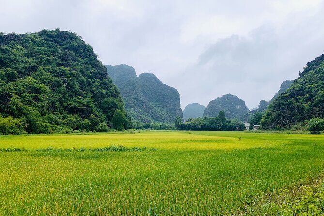 Ninh Binh Full Day Trip From Hanoi To Hoa Lu, Trang An, Mua Cave - Introducing the Ninh Binh Full Day Trip from Hanoi
