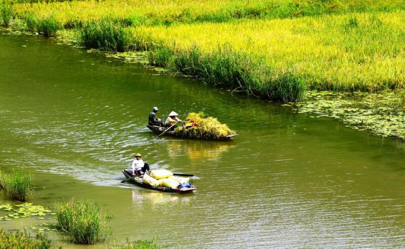 Ninh Binh: Hoa Lu, Trang An and Mua Caves Hiking Day Trip - Key Points