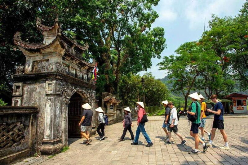 Ninh Binh: Hoa Lu- Trang An- Mua Cave Small Group Daily Tour - Key Points