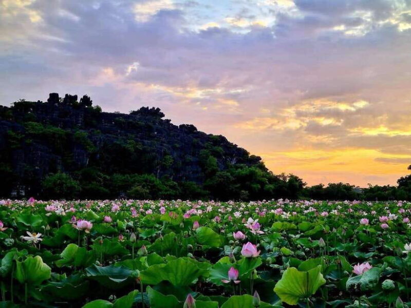 Ninh Binh: Hoa Lu- Trang An- Mua Cave Small Group Daily Tour - Introduction: The Allure of Ninh Binh for Day-Trippers from Hanoi