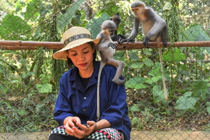 Ninh Binh One Day Cuc Phuong National Park Small Group Tour - Logistics and Value