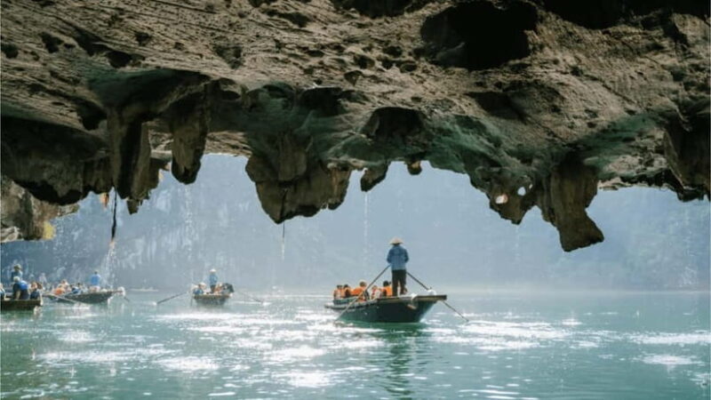 Ninh Binh Premium: Hoa Lu, Trang An & Mua Cave| VIP 9 Seater - A Detailed Look at the Ninh Binh Premium Tour