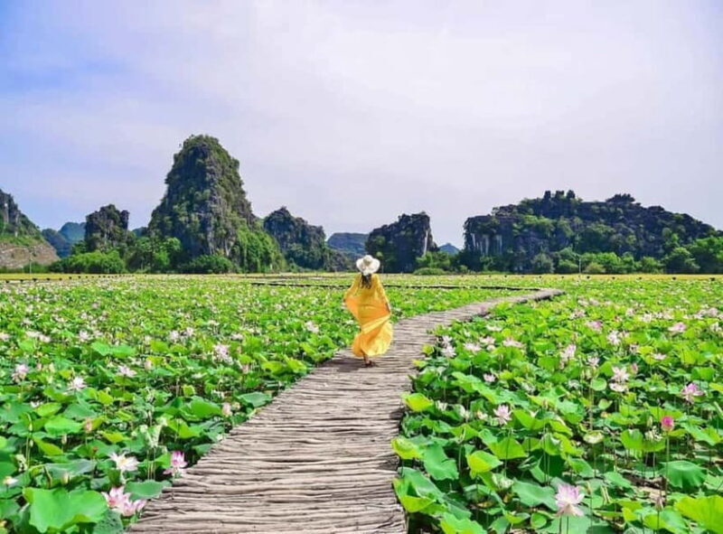 Ninh Binh Private Tour: Bai Dinh, Trang An/Tam Coc, Mua Cave - The Sum Up: Who Will This Tour Impress?