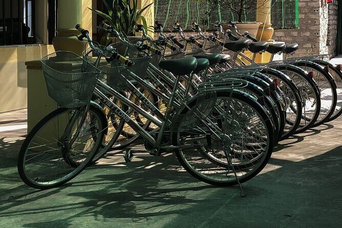 Ninh Binh Private VIP Tour - Transport and Timing Considerations
