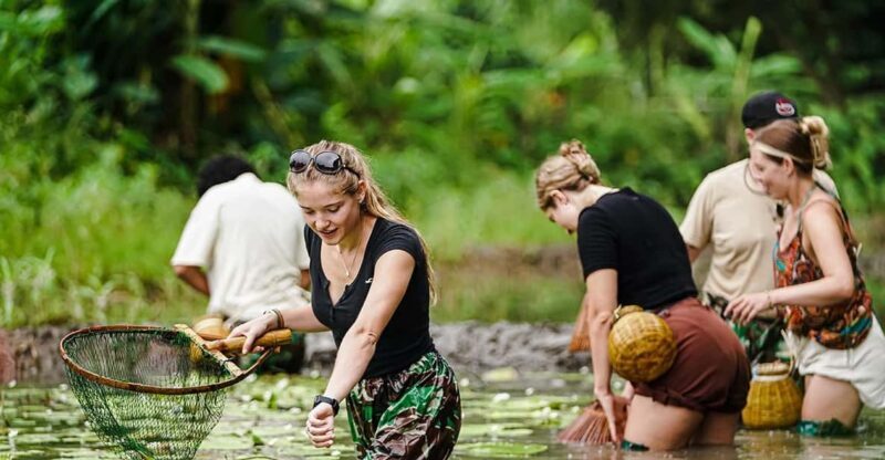 Ninh Binh: Rice planting and fishing by basket tour - Authenticity and Value: Why This Tour Works