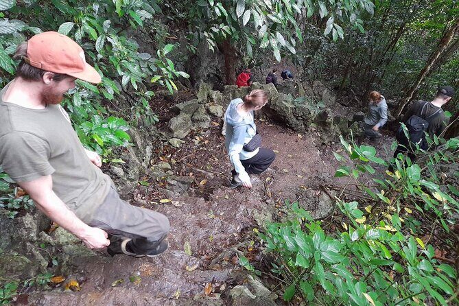 Ninh Binh : Small Group Tour Discover Cuc Phuong National Park - What the Tour Means for You
