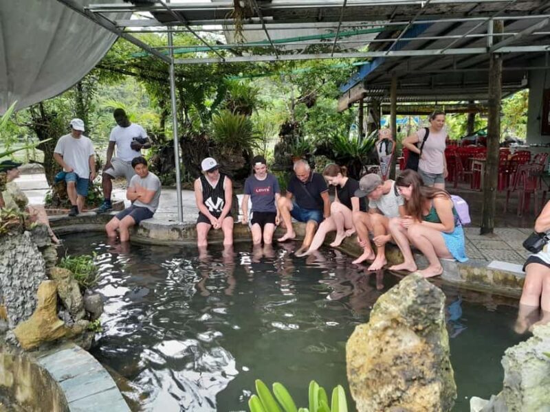 Ninh Binh to Cat Ba: 2Days- LanHa bay tour-bike, kayak,lunch - Who Is This Tour Best For?