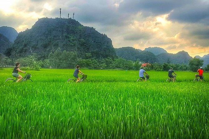 Ninh Binh Tour Bai Dinh Trang An Mua Cave Small Group Limousine - Mua Cave: Climb for the View
