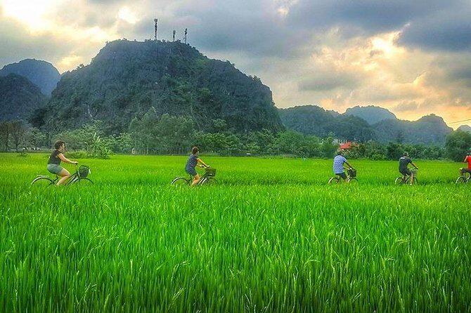 Ninh Binh Tour: Deluxe & Small Group Tam Coc Hoa Lu - Boat, Biking, Buffet Lunch - An In-Depth Look at the Tour Experience
