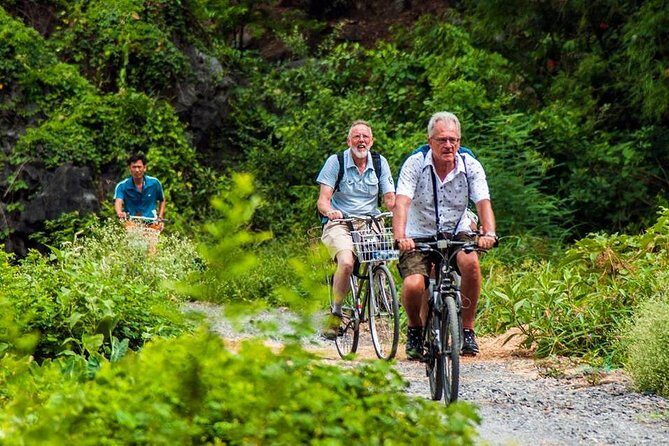 Ninh Binh Tour Hoa Lu Tam Coc Full Day: Biking,Boating,Tickets,Lunch, Limousine - Who Is This Tour Best For?