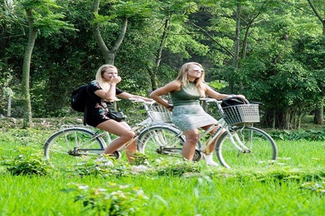 Ninh Binh Tour Hoa Lu Tam Coc Full Day: Biking,Boating,Tickets,Lunch, Limousine - The Sum Up