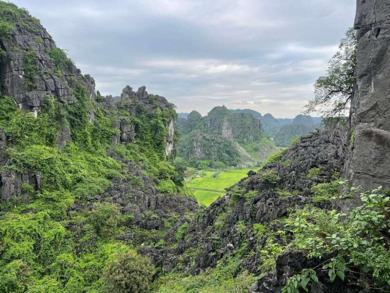 Ninh Binh Trang An, Mua Cave, Cuc Phuong National Park Tour - An Overview of the Tour Experience