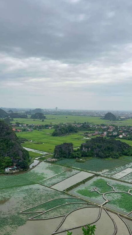 Ninh Binh Trang An, Mua Cave, Cuc Phuong National Park Tour - What We Loved About the Tour
