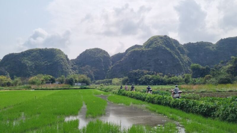 Ninh Binh Vespa Tours from Hanoi: Vespa + Boat + Daily Life - Introducing the Ninh Binh Vespa Tours from Hanoi
