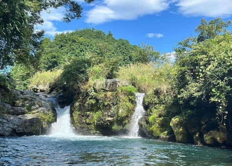Nishiusuzuka: Fuji Forest Hiking Tour with Guide & Transfer - Key Points