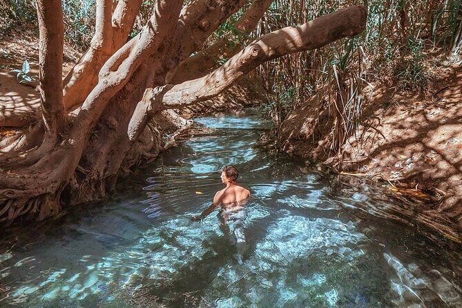 Nitmiluk National Park & Katherine Hot Springs - Full Day Tour - The Thermal Springs or Edith Falls
