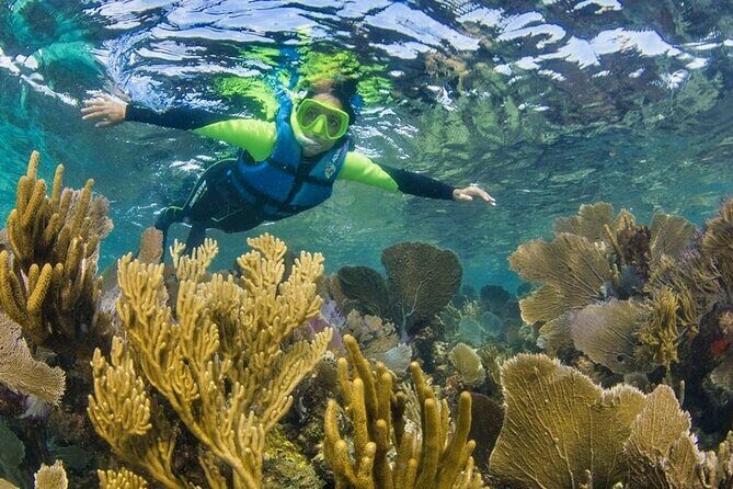 Nizuc Reef Snorkel Experience - The Snorkeling Platform and Reef