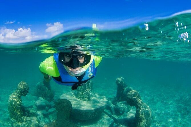 Nizuc Reef Snorkel Experience - What the Reviews Say
