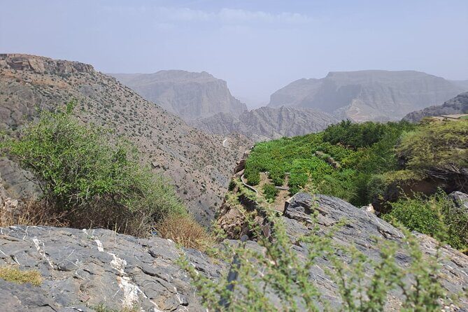Nizwa and Jebel Akhdar - Why Travelers Love This Tour