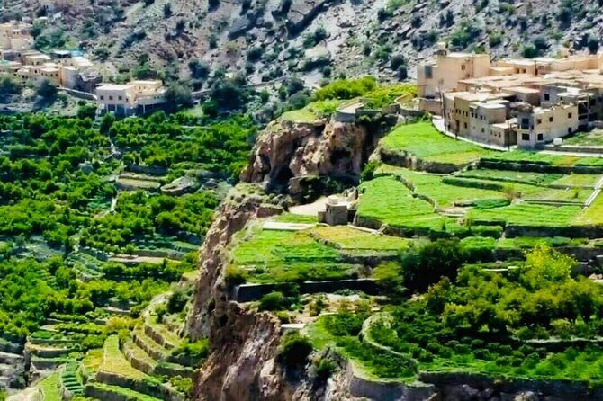 Nizwa Fort-Nizwa Souq-Birkat Al Mouz-Jebel Akhdar - Private Full Day Tour - Who This Tour Is Best For