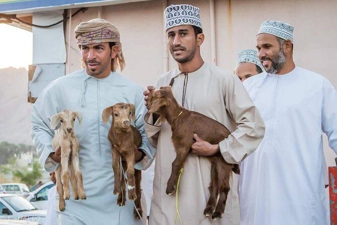 Nizwa Friday Market Jabal Chams - The Sum Up