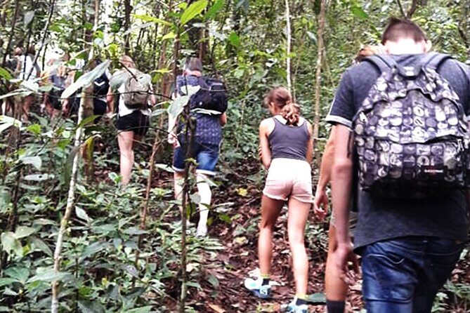 No.1 Chiang Mai: 3-Hour Monk Trail Hike to Wat Doi Suthep & Palad - A Closer Look at the Experience