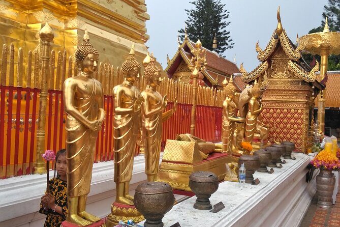 No.1 Chiang Mai: 3-Hour Monk Trail Hike to Wat Doi Suthep & Palad - Value for Money