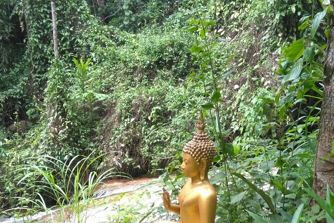 No.1 Chiang Mai: 3-Hour Monk Trail Hike to Wat Doi Suthep & Palad - Who Should Consider This?