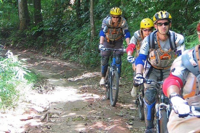 No.1 Chiang Mai: Advanced Downhill Mountain Biking, Suthep N.Park - The Itinerary in Detail: What to Expect