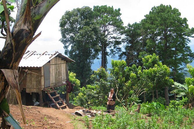 No.1 Chiang Mai: Advanced Downhill Mountain Biking, Suthep N.Park - FAQ