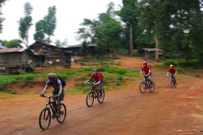 No.1 Chiang Mai: Epic Doi Suthep Downhill MTB Adventure - The Value of This Tour