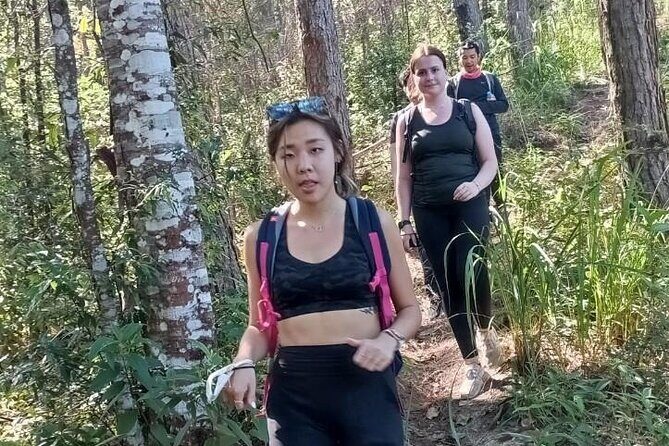 "No.1 Chiang Mai: Suthep N. Park Leisure walks & Mountain Biking" - The Sum Up: Who is This Tour Best For?