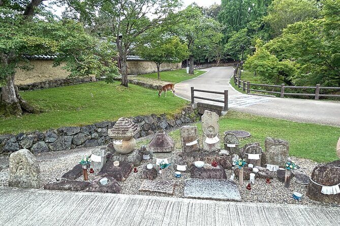 No Emission Car Nara Private Tour from Kyoto with Japanese Guide - Who Should Consider This Tour?