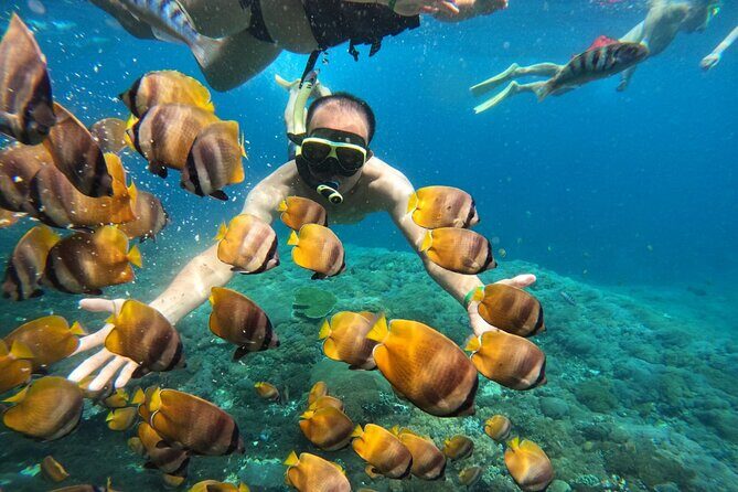 No:#1. Penida Island Tour And Snorkeling With Manta - Frequently Asked Questions