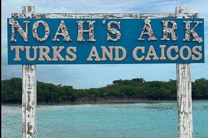 Noahs Ark Catamaran Trip - Final Thoughts: Is It Worth It?